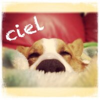 たか (@takamarron) 's Twitter Profile