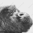 Chris Wright - @ChrisWrightArt - Twitter