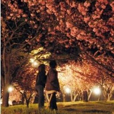 失恋 片思いbot 苦しい淋しい切ない辛い そればっかなのに 小さな幸せ 一瞬の幸せが ずっとずっと忘れられないの だからどんな大きな痛みも 耐えてみせるよ