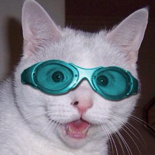 blommerino's profile picture. 