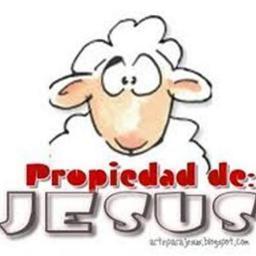 FABIOLASEBASTIA's profile picture. 