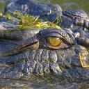 Bernd Huber - @BerndHuber4 - Twitter