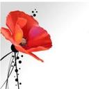 evan mendes - @evan_mendes - Twitter