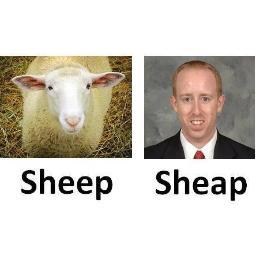 csheap1's profile picture. The original csheap1.