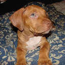 emilee scott - @emileescott2 - Twitter