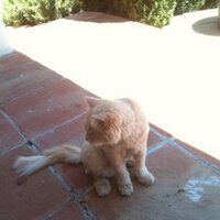 Pamela Carter (@pcarter06) 's Twitter Profile