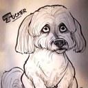 Bill Wetzel - @hotwings1955 - Twitter