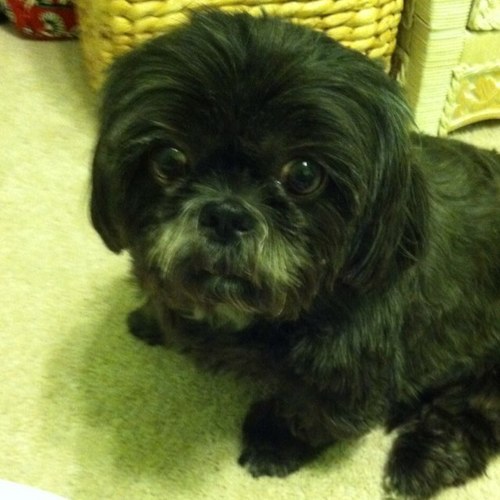 MAlersNJ's profile picture. 