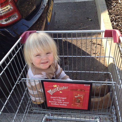 GazL85's profile picture. 