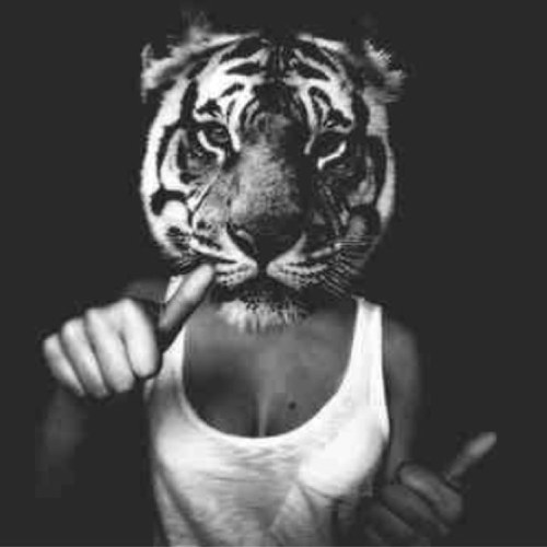 • now let me blow your mind •