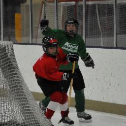 Architect, Hockey Official, Dad, Husband, Son.  Enjoys all kinds of sports