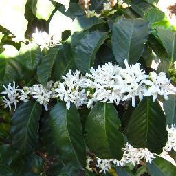 delarocag's profile picture. 