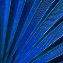 Diane Lemire - @BluePalmSpa - Twitter