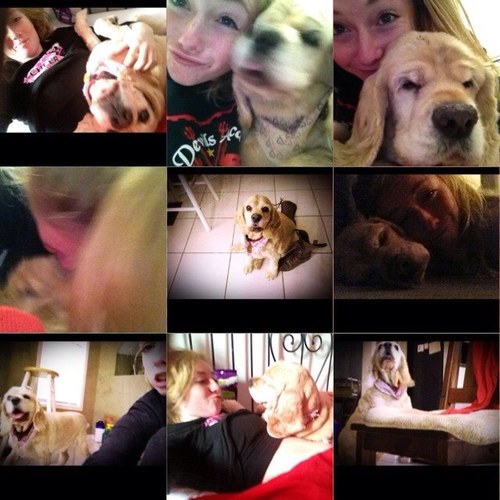 veekglen's profile picture. Master Sneevious GET OUT OF MY DOMAIN, oh.. it's you.. well, nevermind.