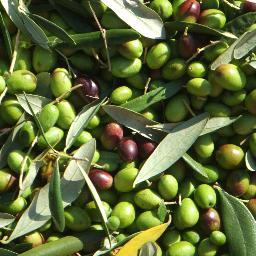 Georgetown University's Food Studies Group
https://t.co/IixRwyxCFT