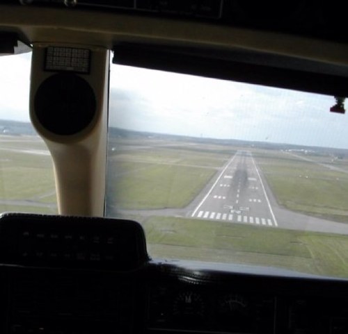 rkflyga Profile Picture
