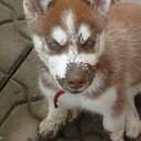 Doris Eller Hamm - @doriseller - Twitter