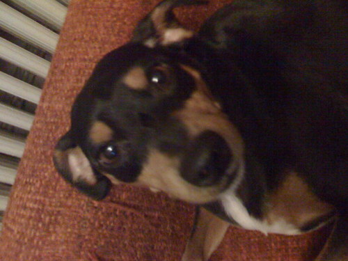 topherofcoors's profile picture. OF COORS