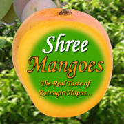 Organic Ratnagiri #Hapus #Alphonso #Mangoes in Pune! Order Online Quality Hapus Mangoes & enjoy the taste of Hapus this summer! Follow us if you Love Mangoes!