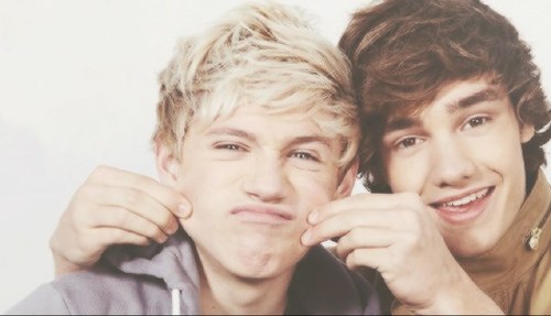 We are Directioners∞. Always support our boys! Harry,Niall,Zayn,Liam,Louis~♥. And don't forget to live while we're young!☃xx MinS MinA MinM :)