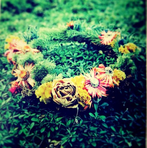 adgj_mt's profile picture. 