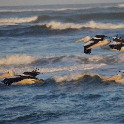 lizandmill's profile picture. Journalist, retired from the daily news fray but still interested in who,what, when, how and why. Freelance writer.