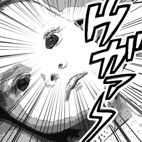 kospi22's profile picture. 