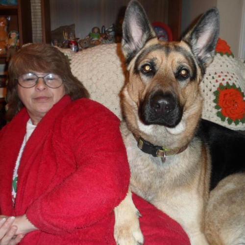 geisler5894's profile picture. 