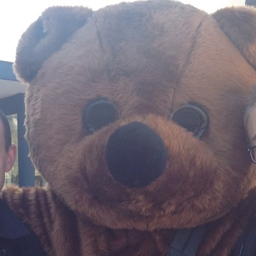 benjaminalbenet's profile picture. 