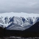 Wayne Menard - @menard_wayne - Twitter