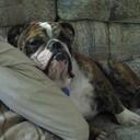 Jane Wallace - @JustBoringJane - Twitter