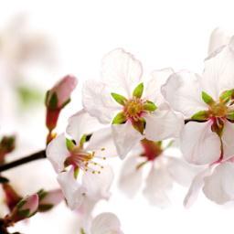 shinawoman's profile picture. 신아언니와 함께하는 피부, 비만, 여성클리닉 수다♥