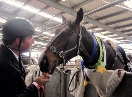 ben_wilson84's profile picture. 