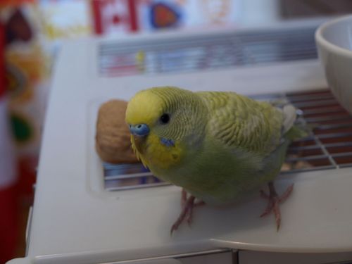 _tcy_realyow's profile picture. Real Estate in Ottawa