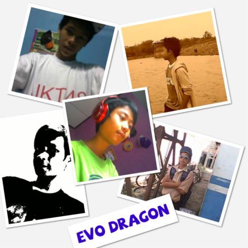 Evo Dragon
