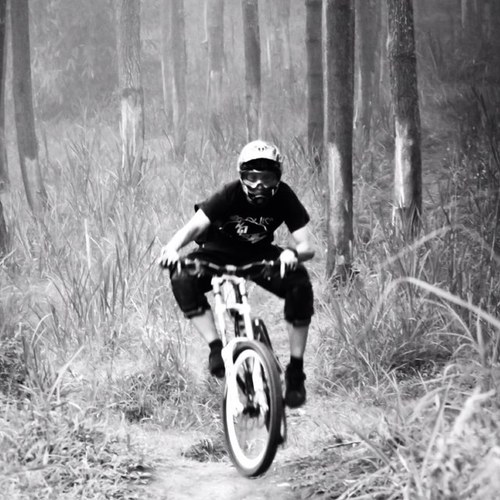 gelsibog's profile picture. 