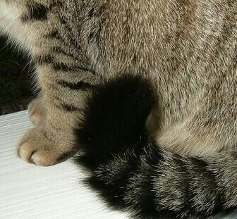 美術の端っこにいる人