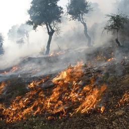 Novetats i reflexions sobre els incendis forestals, estratègies d'extinció i ecologia del foc forestal de Catalunya i el món des de @bomberscat