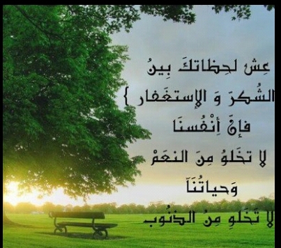 تغريداتي مجرد سطور اعجبتني .....لا تعبر جمعيها عن حالتي ...انما هي كلمات راقت لي فاردت ان تشاركوني عذوبتها.......طموحي ان اضع بصمة في الحياة ...