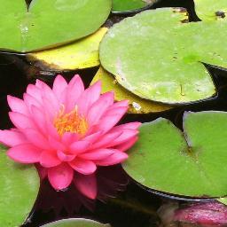 Indie author and songwriter. Books include: The Calendar Begins (A 12-21-12 Novella) http://t.co/G0J9HAZ7dC and  Parallel Verse http://t.co/8vYnqwy0CU