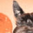 KirstieC's profile image