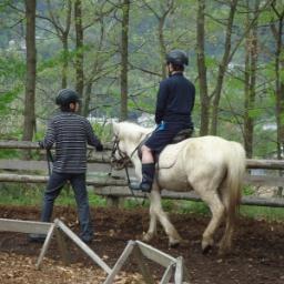 mirokunoyo's profile picture. 