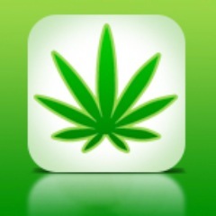 GrowApp_US's profile picture. App designed for Marihuana growers. Manage, schedule and solve all your grow problems! Android link: https://t.co/e8dJbDGcQw