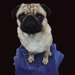 retweed. Vintage clothing at vintage prices. Harris tweed, Levis & Barbour. #tweed #buybritish #mensfashion #retweed http://t.co/s0O4VQJnQx