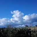 aurora salgado  - @aurorasalgado5 - Twitter