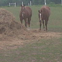 Lorraine Black - @lorrmomof2 - Twitter