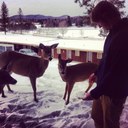 Collin Masters - @MastersCollin - Twitter