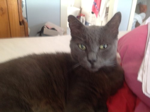 Judi_09's profile picture. 