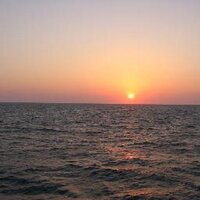 jeff moessner (@mezzythekid) 's Twitter Profile Photo