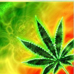 THE WEED PROVIDERS, KEEP ON TRACK OF THE BEST STUFF AROUND WE WILL KEEP YOU UPDATED ON TIPS ON HOW TO MAKE THE BEST GROW, THING TO AVOID AND THE LATEST GADGETS